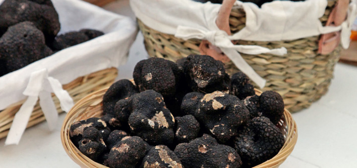 Black truffles from Perigord