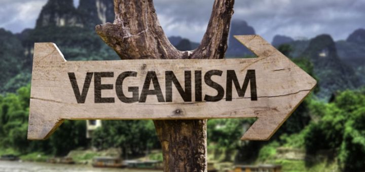 vegan travel